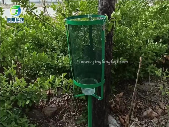 常見的捕蠅籠使用方法不當是什么